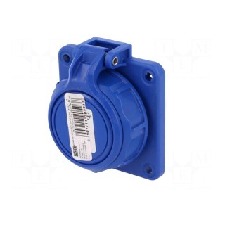 Connector: AC supply | female | socket | 2P+PE | 250VAC | 16A | blue