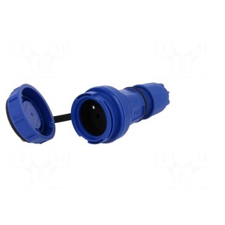 Connector: AC supply | female | socket | 2P+PE | 250VAC | 16A | blue