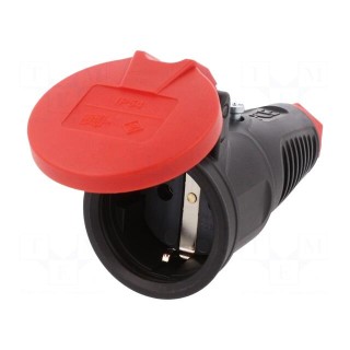 Connector: AC supply | female | socket | 2P+PE | 250VAC | 16A | for cable