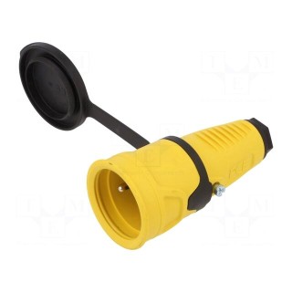 Connector: AC supply | female | socket | 2P+PE | 250VAC | 16A | for cable