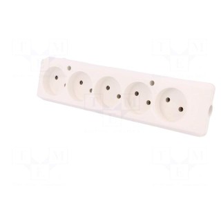 Connector: AC supply | female | splitter | 2P | 250VAC | 16A | Type: round