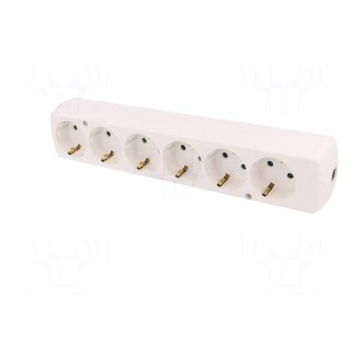 Connector: AC supply | female | splitter | 2P+PE | 250VAC | 16A | white