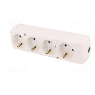 Connector: AC supply | female | splitter | 2P+PE | 250VAC | 16A | white