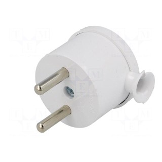 Connector: AC supply | male | plug | 2P | 230VAC | 16A | Type: MINI,round