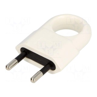 Connector: AC supply | male | plug | 2P | 250VAC | 10A | Type: flat | white