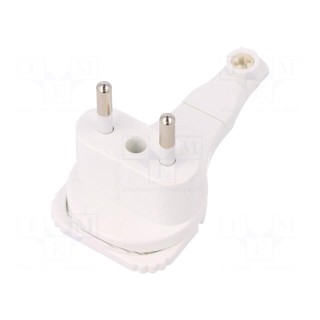 Connector: AC supply | male | plug | 2P | 250VAC | 6A | white | for cable