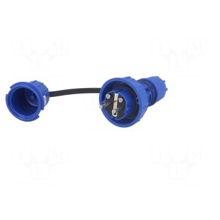 Connector: AC supply | male | plug | 2P+PE | 250VAC | 16A | blue | PIN: 3