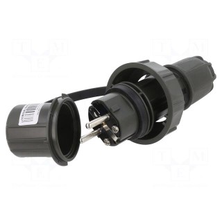 Connector: AC supply | male | plug | 2P+PE | 250VAC | 16A | green | PIN: 3
