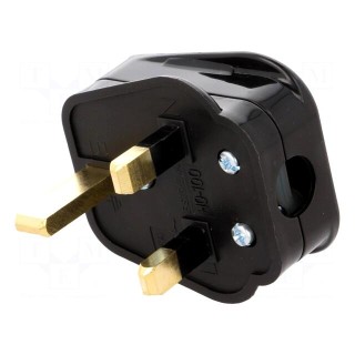 Connector: AC supply | plug | 2P+PE | 250VAC | 5A | black | PIN: 3 | angled