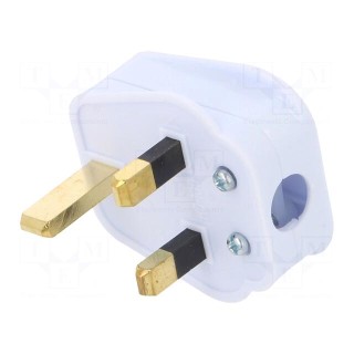 Connector: AC supply | plug | 2P+PE | 250VAC | 5A | white | PIN: 3 | angled