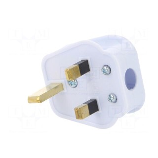 Connector: AC supply | plug | 2P+PE | 250VAC | 5A | white | PIN: 3 | angled