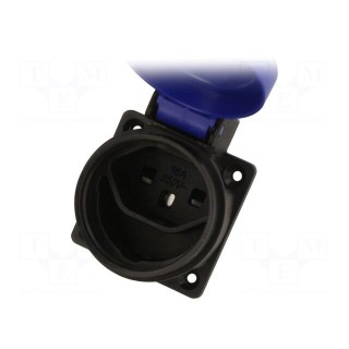 Connector: AC supply | socket | 2P+PE | 250VAC | 16A | black,blue | PIN: 3