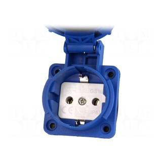 Connector: AC supply | socket | 2P+PE | 250VAC | 16A | blue | PIN: 3 | IP67