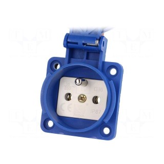 Connector: AC supply | socket | 2P+PE | 250VAC | 16A | blue | PIN: 3 | IP67