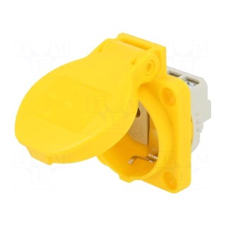 Connector: AC supply | socket | 2P+PE | 250VAC | 16A | yellow | PIN: 3