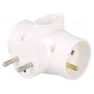 Connector: AC supply | splitter | 2P,2P+PE | white | Output: 3x socket