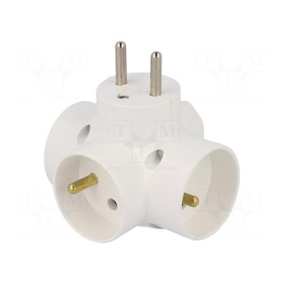 Connector: AC supply | splitter | 2P,2P+PE | white | Output: 4x socket