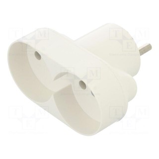 Connector: AC supply | splitter | 2P | 250VAC | 16A | Type: round | white