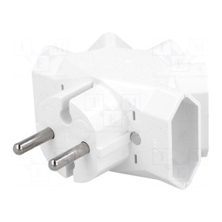 Connector: AC supply | splitter | 2P | 250VAC | 6A | Type: flat | white