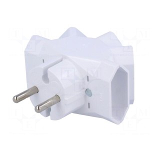 Connector: AC supply | splitter | 2P | 250VAC | 6A | Type: flat | white