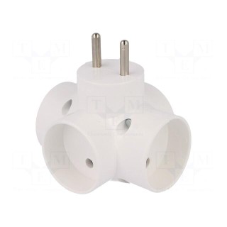 Connector: AC supply | splitter | 2P | Type: round | white