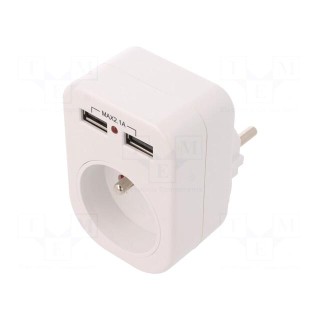 Connector: AC supply | splitter | 2P+PE | 250VAC | 10A | white