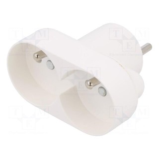 Connector: AC supply | splitter | 2P+PE | 250VAC | 16A | Type: round