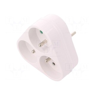 Connector: AC supply | splitter | 2P+PE | 250VAC | 16A | white