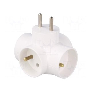Connector: AC supply | splitter | 2P+PE | Type: round,with earthing