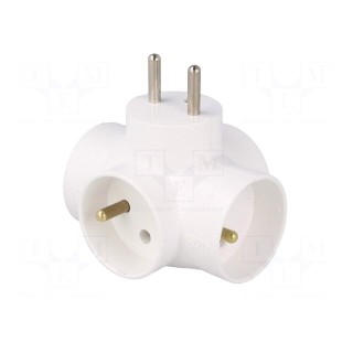 Connector: AC supply | splitter | 2P+PE | Type: round,with earthing
