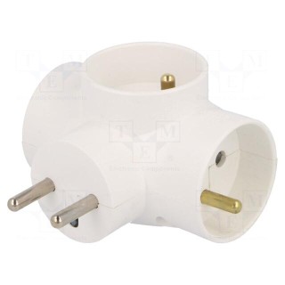 Connector: AC supply | splitter | 2P+PE | white | Output: 3x socket