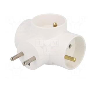 Connector: AC supply | splitter | 2P+PE | white | Output: 3x socket