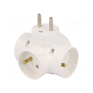 Connector: AC supply | splitter | 2P+PE | white | Output: 4x socket