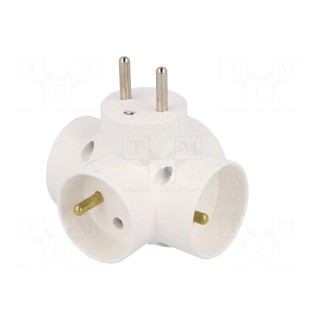 Connector: AC supply | splitter | 2P+PE | white | Output: 4x socket