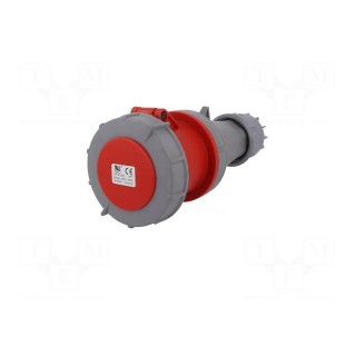 Connector: AC supply 3-phase | plug | female | 63A | 400VAC | IEC 60309