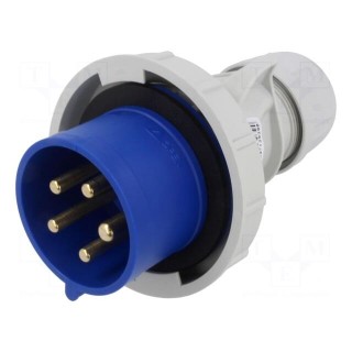 Connector: AC supply 3-phase | plug | male | 32A | 250VAC | IEC 60309