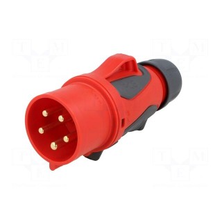 Connector: AC supply 3-phase | plug | male | 32A | 400VAC | IP44 | PIN: 5