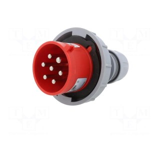 Connector: AC supply 3-phase | plug | male | 32A | 400VAC | IP66,IP67