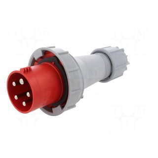 Connector: AC supply 3-phase | plug | male | 63A | 400VAC | IEC 60309