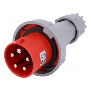 Connector: AC supply 3-phase | plug | male | 63A | 400VAC | IEC 60309