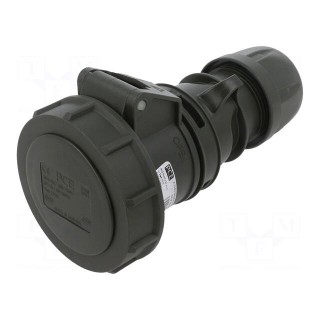 Connector: AC supply 3-phase | socket | female | 16A | 230VAC | IP67