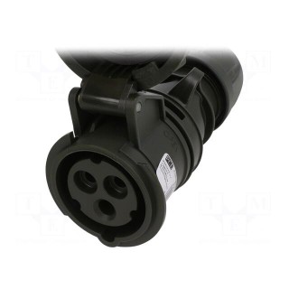 Connector: AC supply 3-phase | socket | female | 16A | 230VAC | IP67