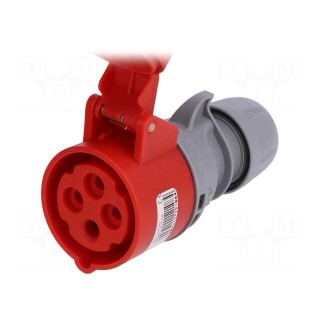 Connector: AC supply 3-phase | socket | female | 16A | 400VAC | IP44