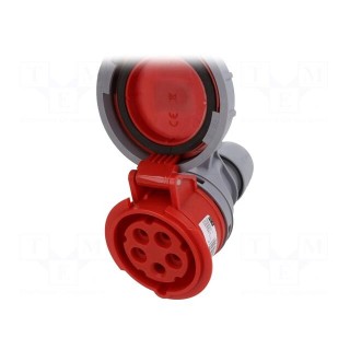 Connector: AC supply 3-phase | socket | female | 16A | 400VAC | IP67