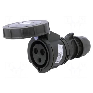 Connector: AC supply 3-phase | socket | female | 32A | 230VAC | IP67