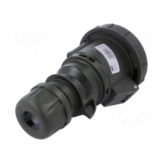 Connector: AC supply 3-phase | socket | female | 32A | 230VAC | IP67