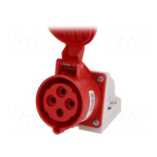 Connector: AC supply 3-phase | socket | female | 32A | 400VAC | IP44