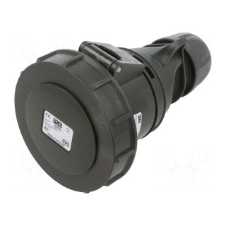 Connector: AC supply 3-phase | socket | female | 32A | 400VAC | IP67