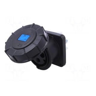 Connector: AC supply 3-phase | socket | female | 63A | 230VAC | IP67