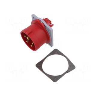 Connector: AC supply 3-phase | socket | male | 16A | 415VAC | IEC 60309